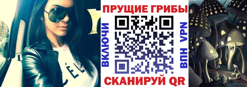 Псилоцибиновые грибы мицелий это Telegram Каменка блэк спрут вход